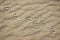 Foot traces of seagulls in the sand. Background with beige fine sand. Sand surface on the beach, view from above.