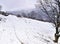 Foot tracks on snow covered land, bare tree and tractor. Winter landscape