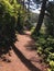 Foot trail around Lake Marie, Umpqua Lighthouse State Park, Winchester Bay, Oregon