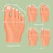 Foot type vector detailed concept with germanic, celtic, greek and roman foegyptian, carre and greek form