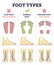 Foot types with flat, normal and hollow feet comparison in outline diagram