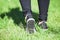 Foot walk with step out on green grass at sunny day, rear view at female legs with shoes and trousers