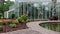 footage along a footpath in a garden with frog shaped plants, colorful flowers and lush green trees and grass, a greenhouse