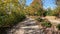 footage of an autumn landscape along a footpath at Lakeshore Park with autumn colored trees and lush green plants