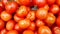 Footage of a big pile of fresh tomatoes at grocery store. Fresh vegetables at supermarket shop. Left to right smooth panning.