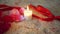 Footage of decoration Valentine, rose flower, candle burning and ribbon