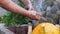 Footage of a farmer washing his organic carrots and prepares them for sale