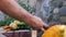 Footage of a farmer washing his organic vegetables and prepares them for sale