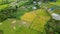 Footage of Fields Covered in Yellow Crops, Ready for Harvesting