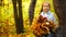 Footage girl sitting on a tree and holding autumn leaves
