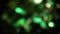 Footage of green bokeh dark background