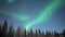 Footage of the green Northern lights in the night sky in Alaska in winter