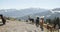 Footage of a herd of multi-coloured llamas standin in their fenced pen against a background of mountains on a sunny day.