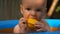 Footage infant boy swimming in pool and play with fish toy.