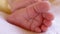 Footage of a newborn baby feet while sleeping, the shot is approaching to the baby`s feet