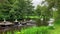 Footage of people walking, small water fountains from rocks, lake, trees at Vondelpark in Amsterdam.