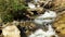 footage of the rushing water, rocks and waterfall at Anna Ruby Falls with lush green trees and plants in Helen Georgia