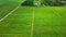 Footage that showing the sugarcane saplings fields and then looking to the horizon