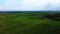 Footage of wide area of sugarcane saplings fields with a large sky up above