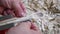 Footage of a wooden spoon carving with sandpaper on a workbench with wood chips, Germany