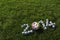 Football 2014 Teams Soccer Balls Green Grass