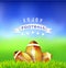 Football American balls on green field