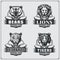 Football badges, labels and design elements. Sport club emblems with bear, lion, tiger and leopard.