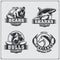 Football badges, labels and design elements. Sport club emblems with bear, shark, bull and horse.