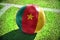 Football ball with the national flag of cameroon