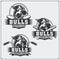 Football, baseball and hockey logos and labels. Sport club emblems with bull.