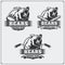 Football, baseball and hockey logos and labels. Sport club emblems with head of bear.