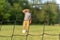 Football defocused player on grassy field. Outdoor sport field