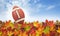 Football with fall leaves on grass, blue sky and clouds