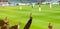 Football fans with raised hands at the stadium during their favorite team match.