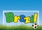 Football field, ball and football goals, inscription doodle Braz