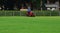 Football field with green grass and regular care and mowing,