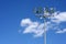 Football Field Lights