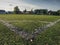 Football field whitr corner. Close up corner of white line paint on green synthetic lawn football,soccer field