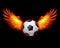 Football-Fiery wings