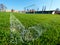 Football line on playfield grass.