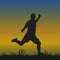 Football player with a ball on the grass makes a punch, silhouette on an evening background