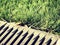 Football playground green ends with metal grating