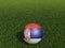 Football in Serbia flag  on  green grass. 3d