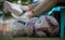 Football soccer game onlooker sports fan resting on bench and on worn out football balls in the field, blurry background, wallpape