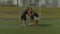 Football team holding hands together before game