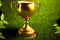 football victory in golden cup competitions on grass