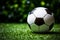 A football on vivid green pitch, sharply contrasting the black