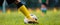 Footballer Kicking Ball Moment. Closeup of Soccer Players Leg Moving Toward Soccer Ball