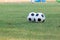 Footballs for training on a grass lawn of sport club