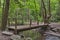 Footbridge across a small stream on a Smoky Mountain Trail